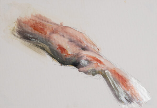 Sarah Alruwaished - Perseverance