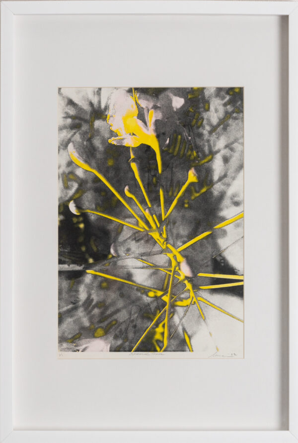 Amira Behbehani- Seeking refuge (1)