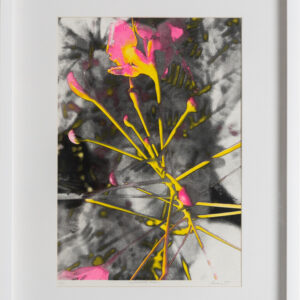 Amira Behbehani- Seeking refuge (2)